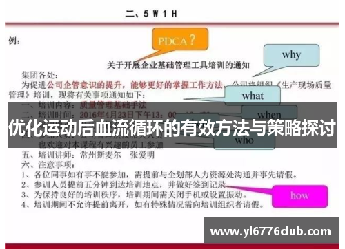 优化运动后血流循环的有效方法与策略探讨