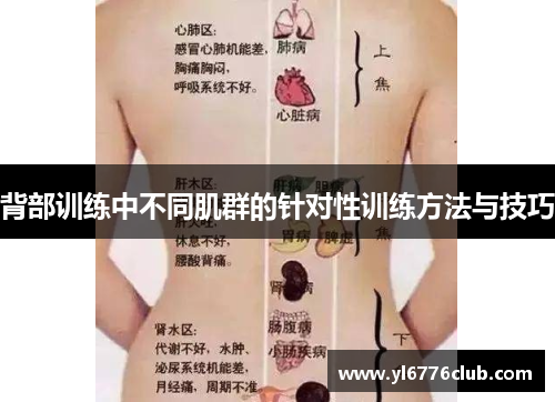 背部训练中不同肌群的针对性训练方法与技巧